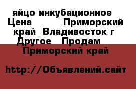 яйцо инкубационное › Цена ­ 150 - Приморский край, Владивосток г. Другое » Продам   . Приморский край